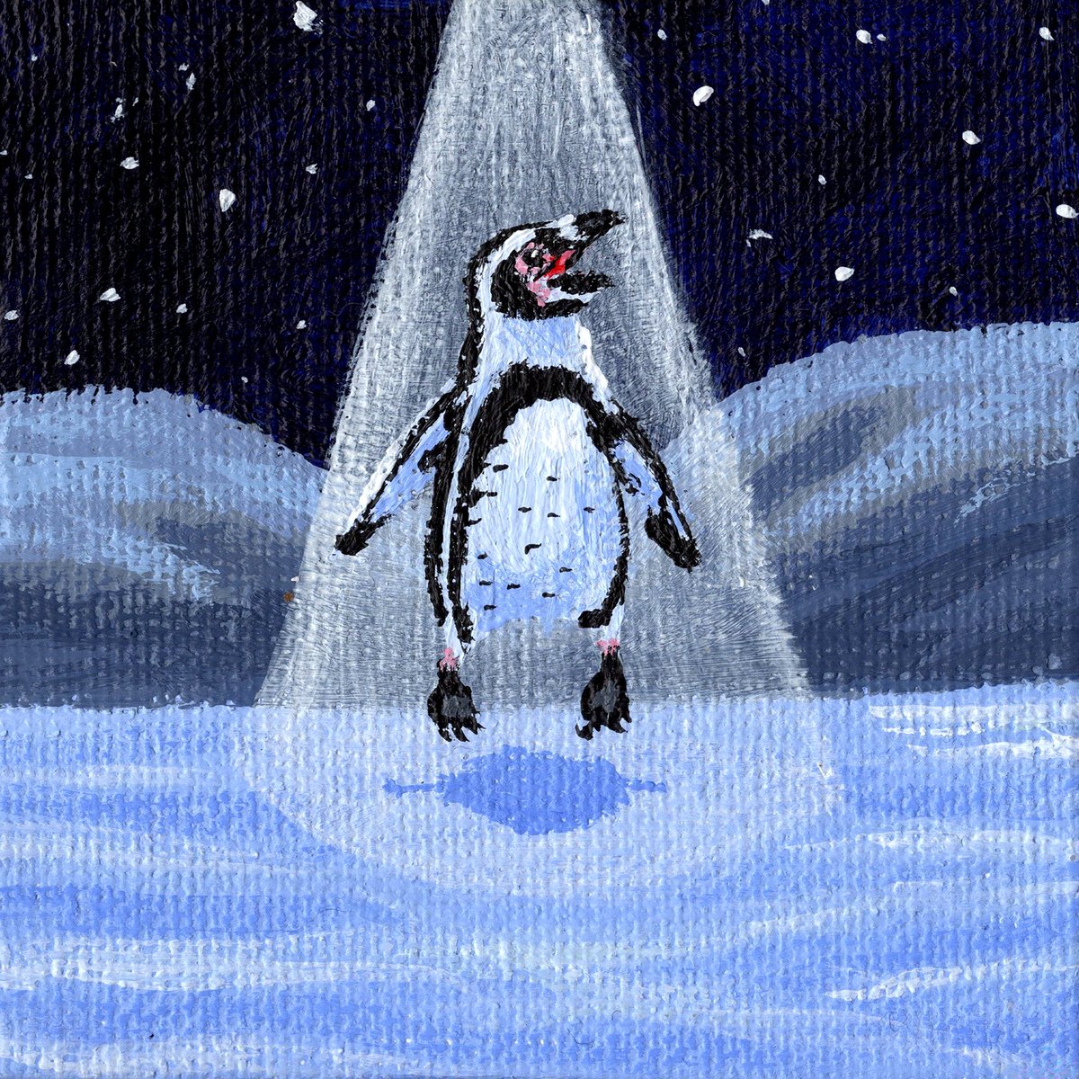 PunkBurdArts's tweet photo. Happy #portfolioday https://t.co/q4TshLSZ6w