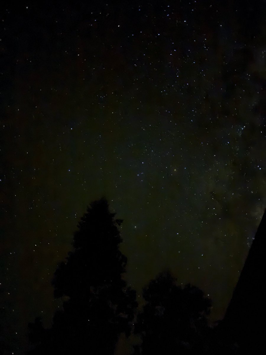 masakimmmm1111's tweet photo. タスマニアの星空、今までに人生で見た中でいちばん綺麗で感動してしまった。
#タスマニア #Tasmania #Brunyisland https://t.co/VaotLzTdXV