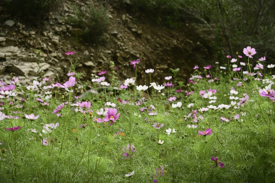 Robyn Mack tweet media