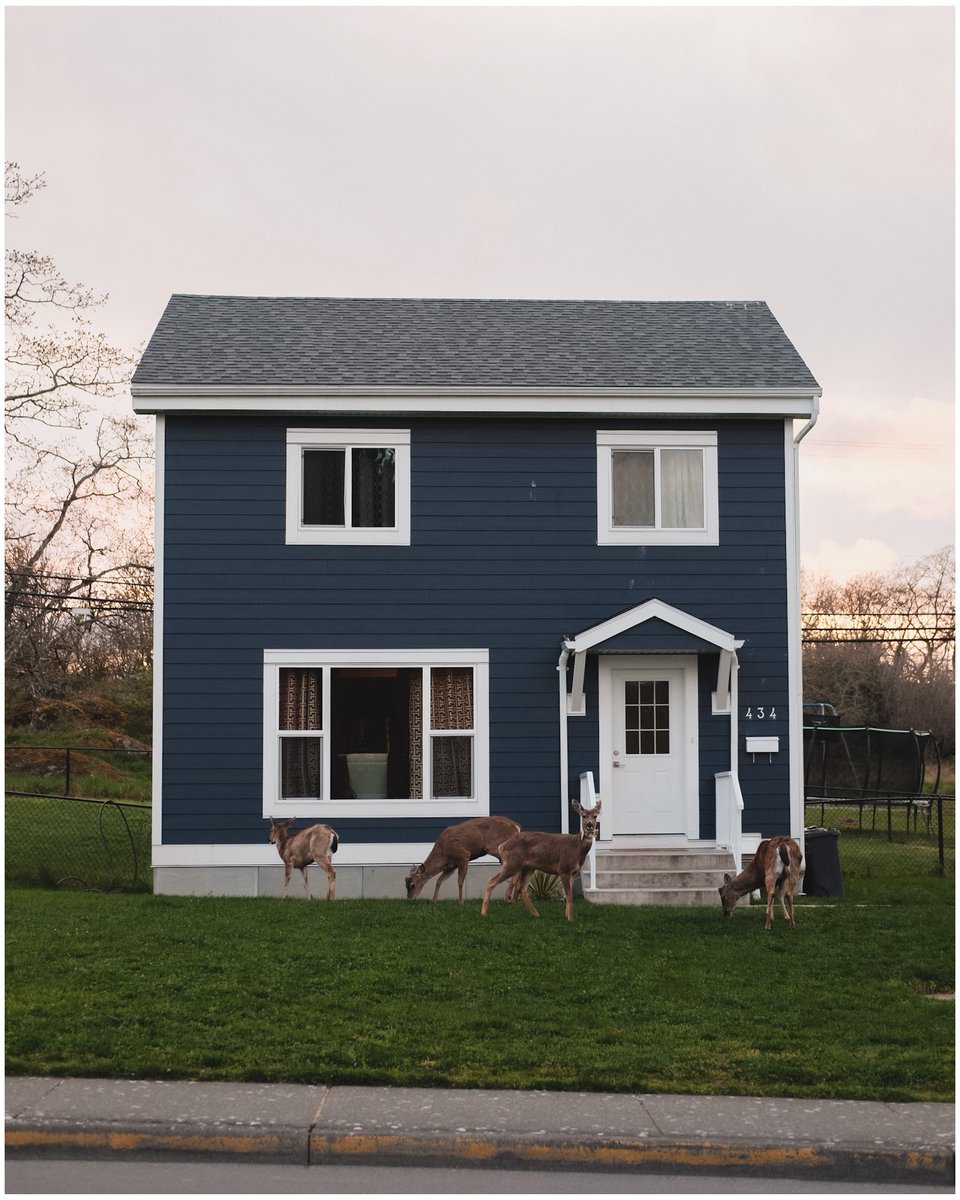 Ø₳₭ ➳ tweet media