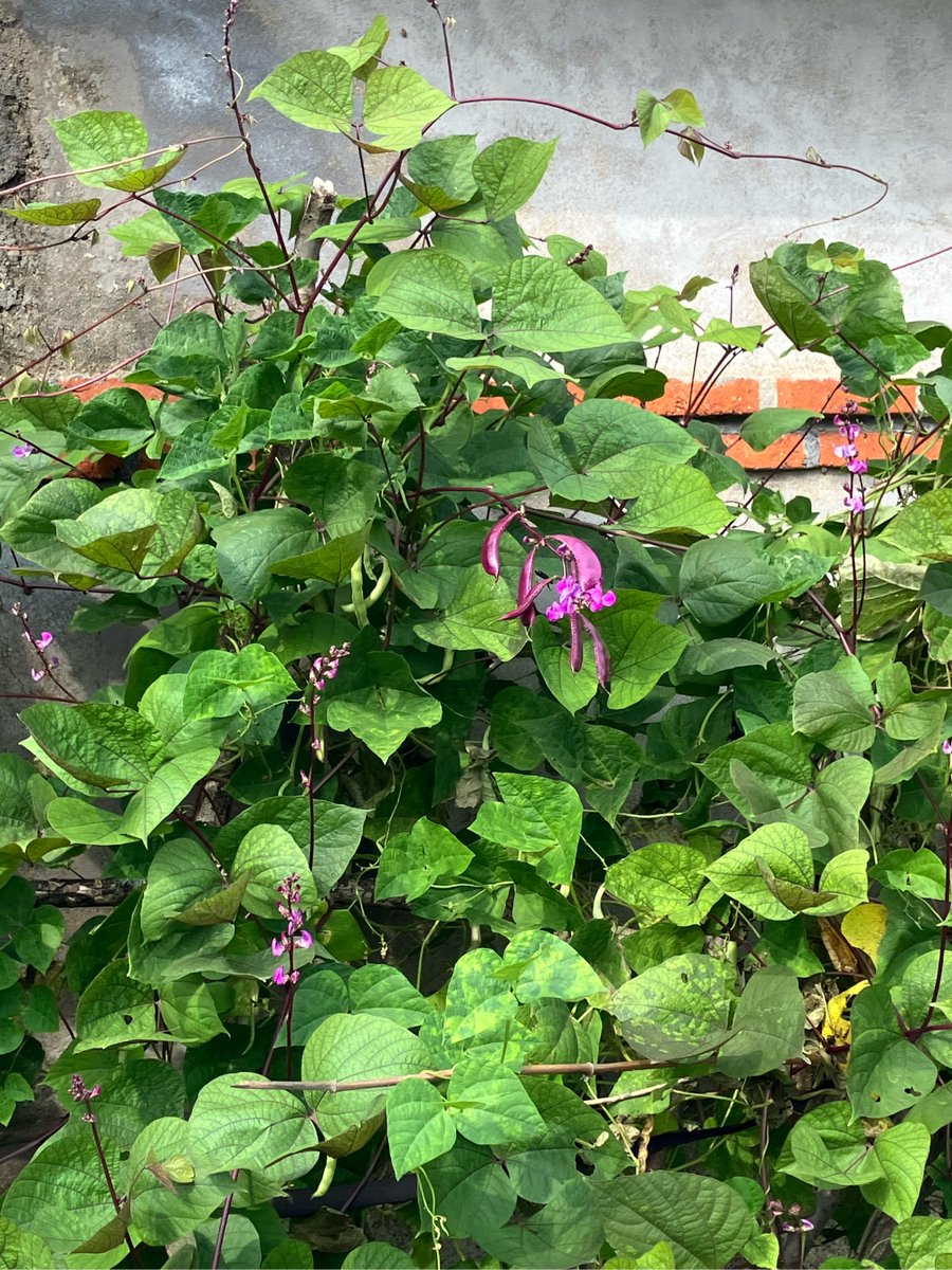 Garilee Russell tweet media