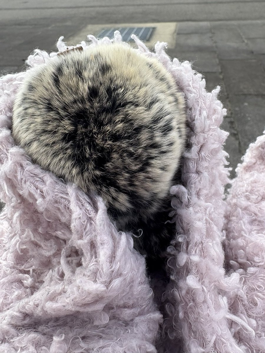 春姫-Atsuki- tweet media