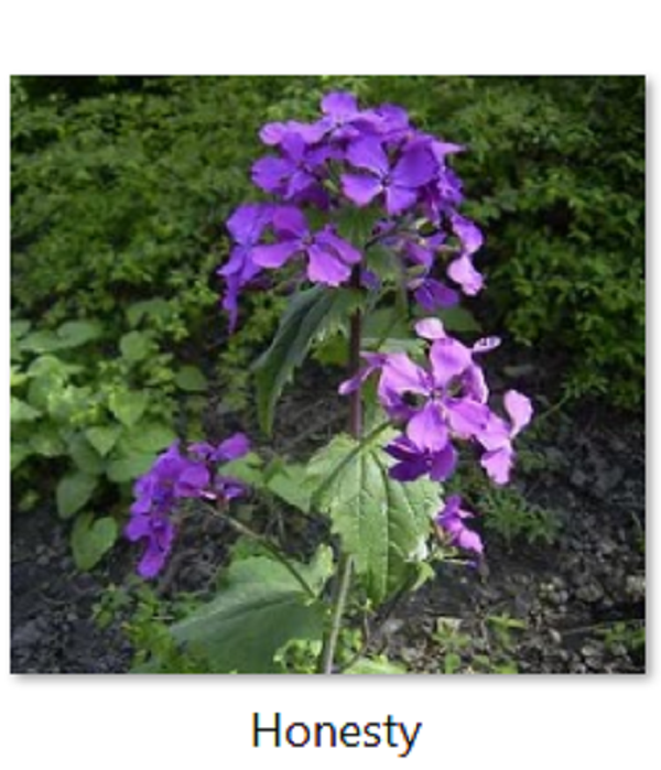 g̴̢̗̲̟͈̟̰͑́̐̎̏̄̀̓ͅr̴̡̧̨̮̙̜̗̪̲̰̭̉̽̍̒͊͋̉͐̉̔̉̎ tweet media