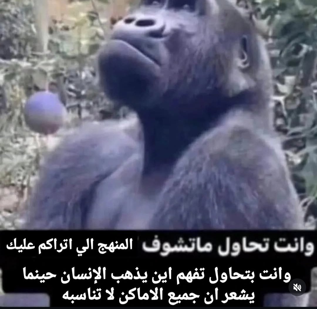 nada (@nadanas40204271) on Twitter photo 