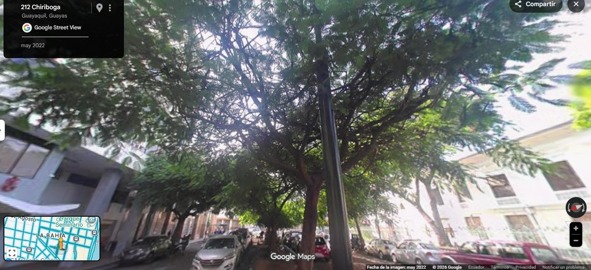 Juan Ycaza tweet media