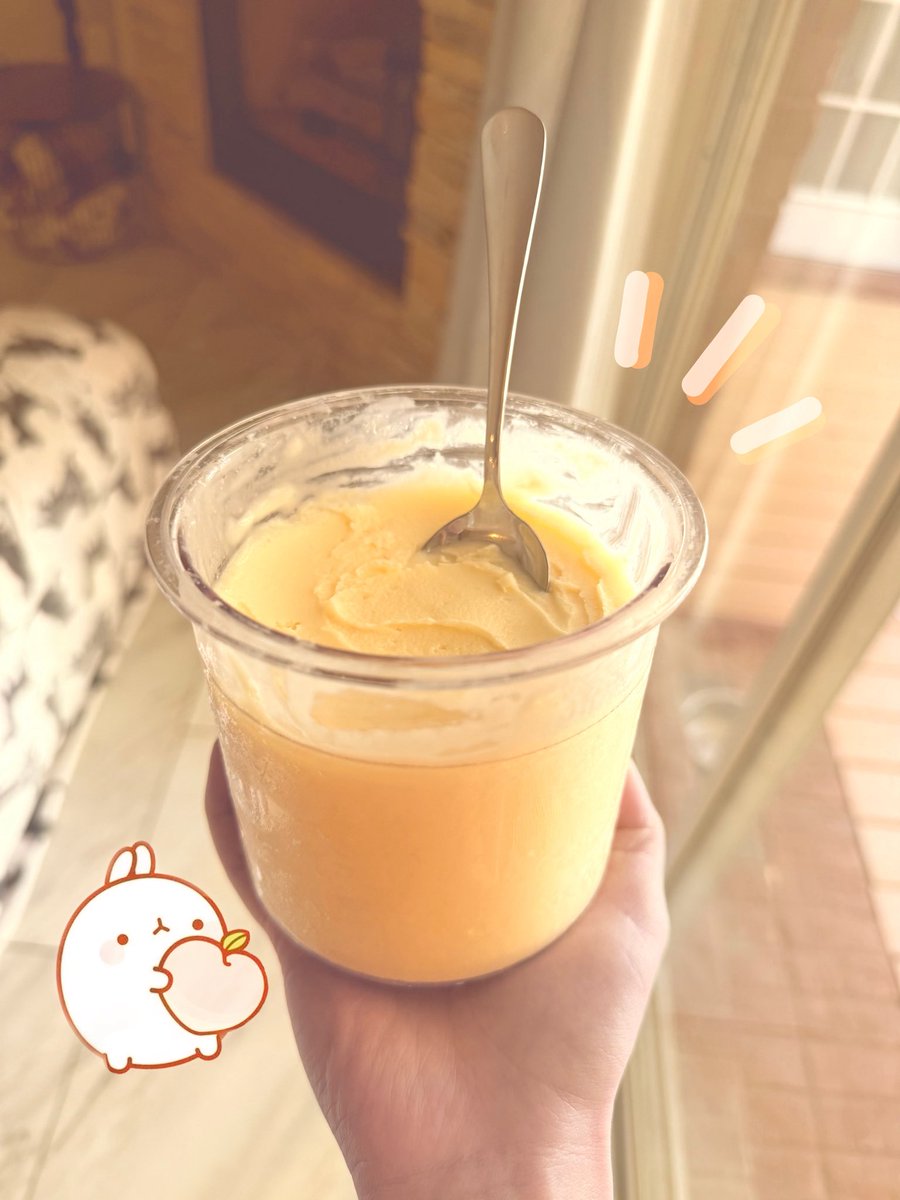 starvedaurora's tweet image. homemade peach froyo ！♡

300kcal — 31g protein (whole pint)

recipe link in replies :D