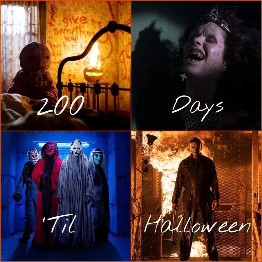 HookedonHorror's tweet image. 200 days to go 🎃

#halloween #fall #autumn #october #horrormovies #horror