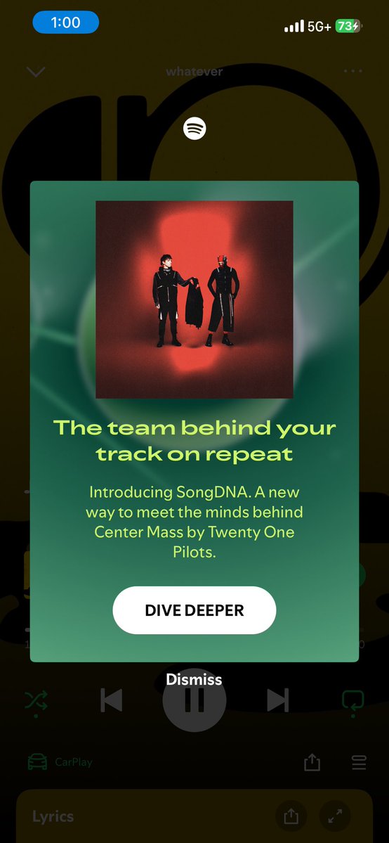 lauren ⊬ tweet media