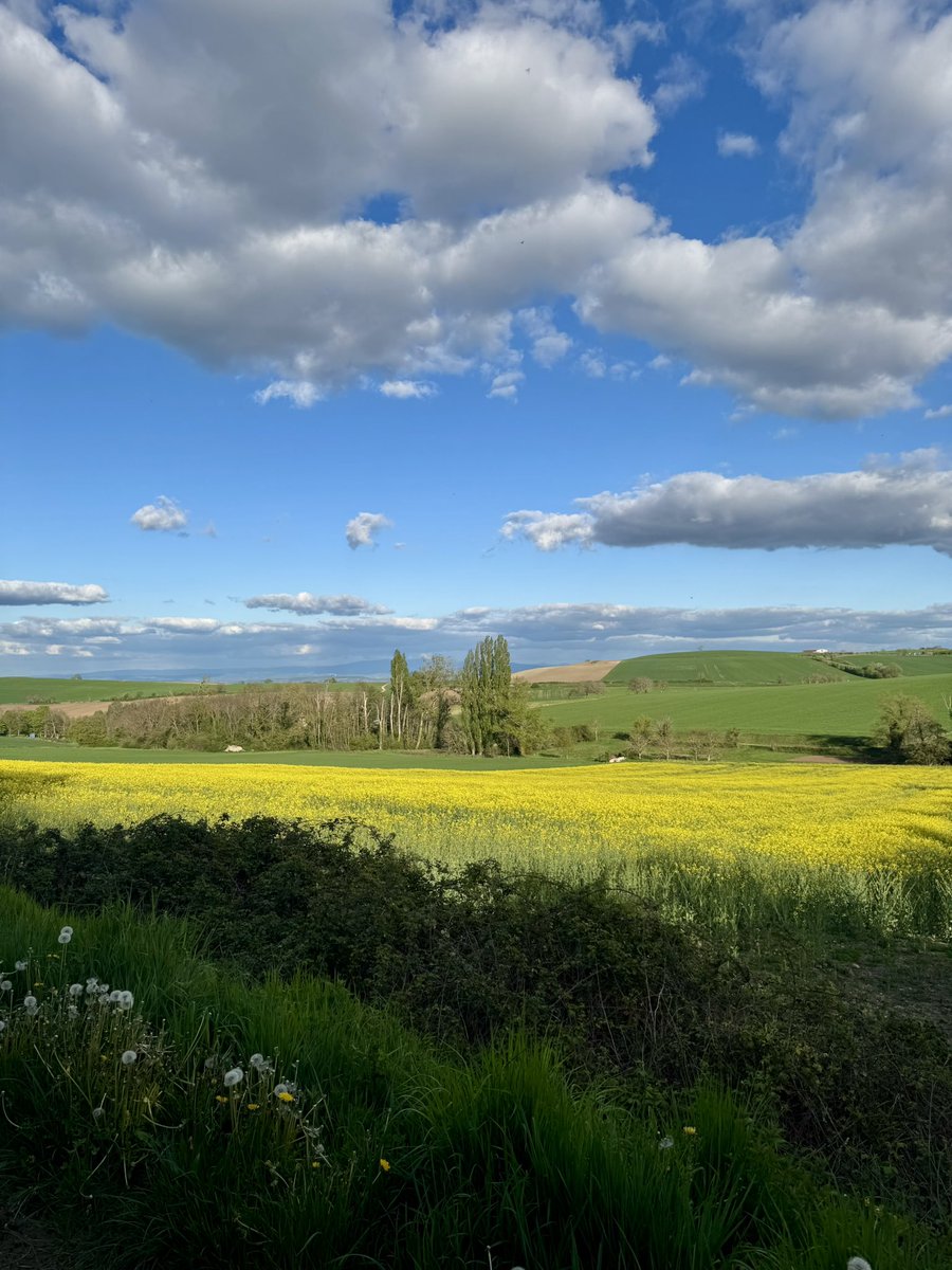 SarahAgier63's tweet photo. Des petits coins de paradis à domicile 🌼🌿

#Auvergne #PuyDeDome #Nature #TourismeLocal https://t.co/N3olA20vSI