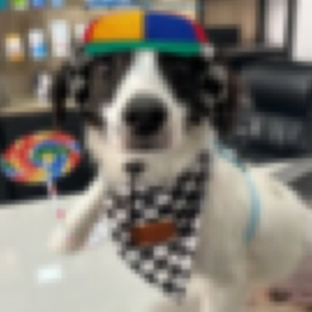 it's luka sagr duang with you 𐔌՞. .՞𐦯 tweet media