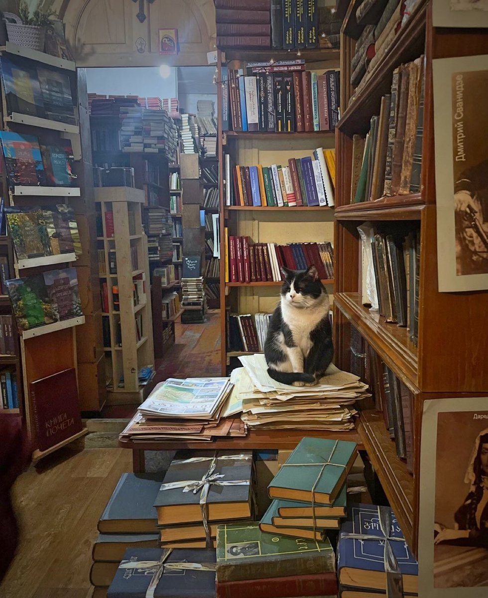 Kitaplardan Alıntılar tweet media