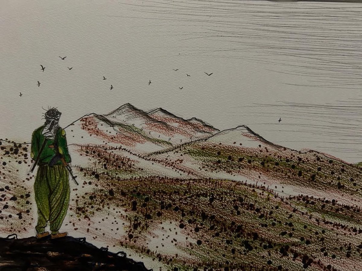 arî | nû tweet media