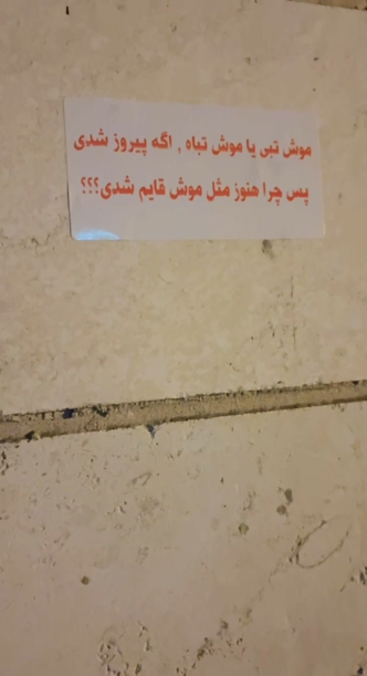 pegah azadeh tweet media