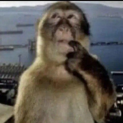 melo🍄 tweet media