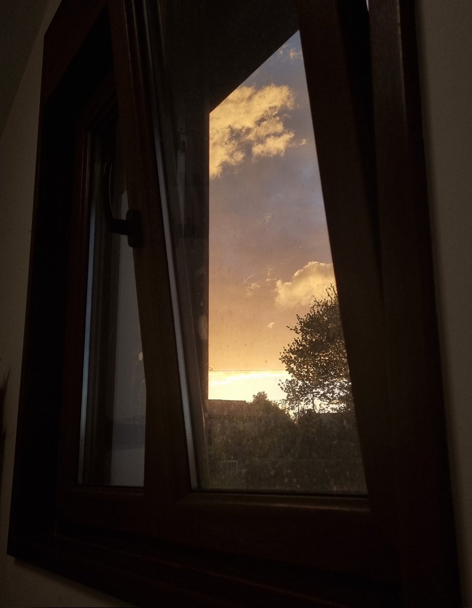 ⋆.˚els˚.⋆ tweet media