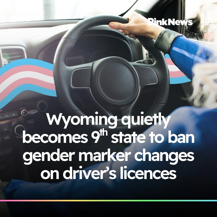 PinkNews tweet media