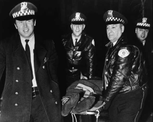 AFRICAN & BLACK HISTORY tweet media