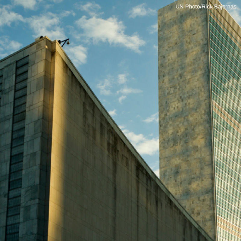 UN Library tweet media