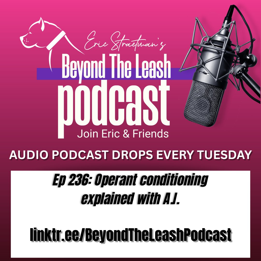 Paul Wright tweet media