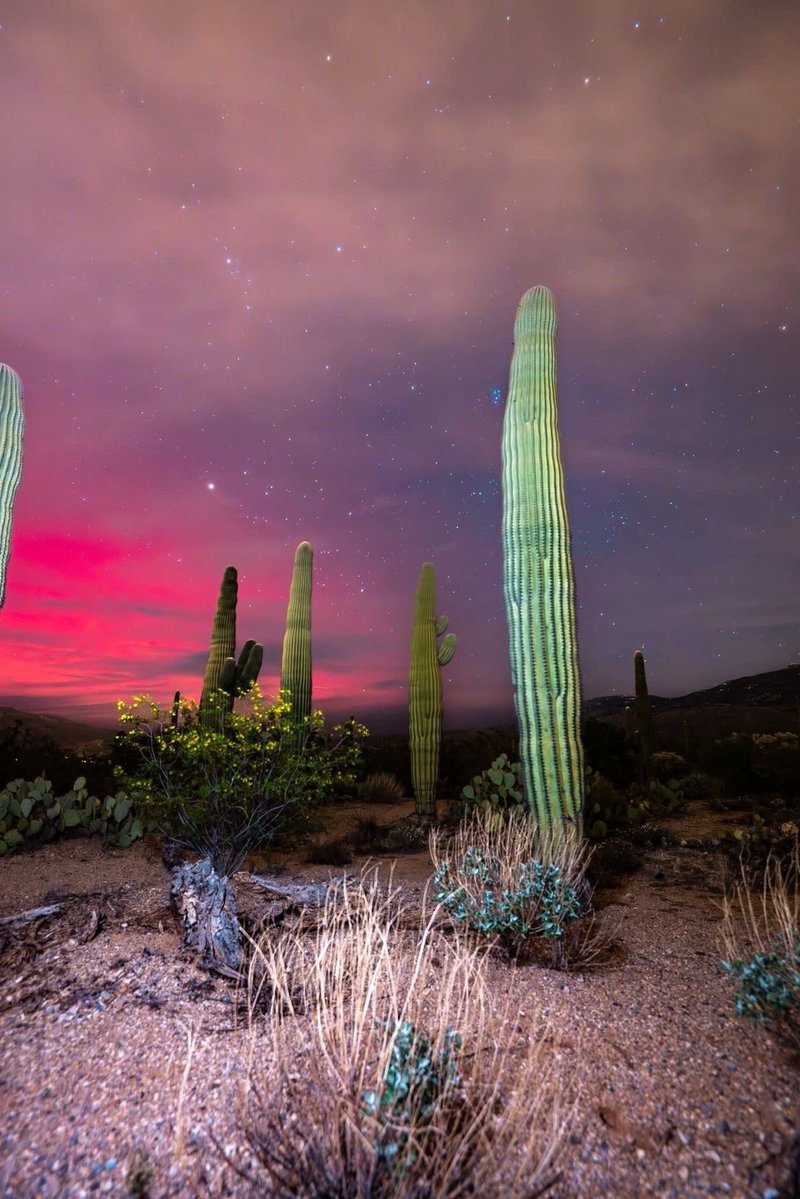 the culture | magazine tweet media