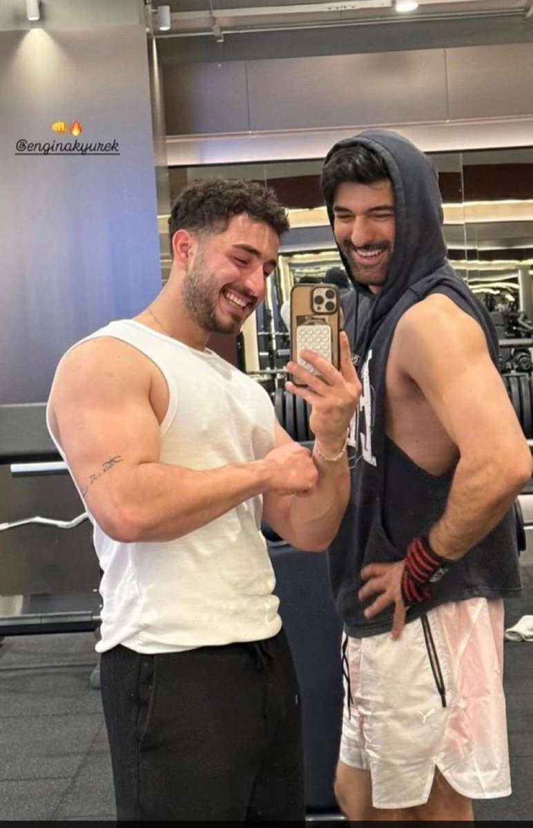 fulya kapan tweet media