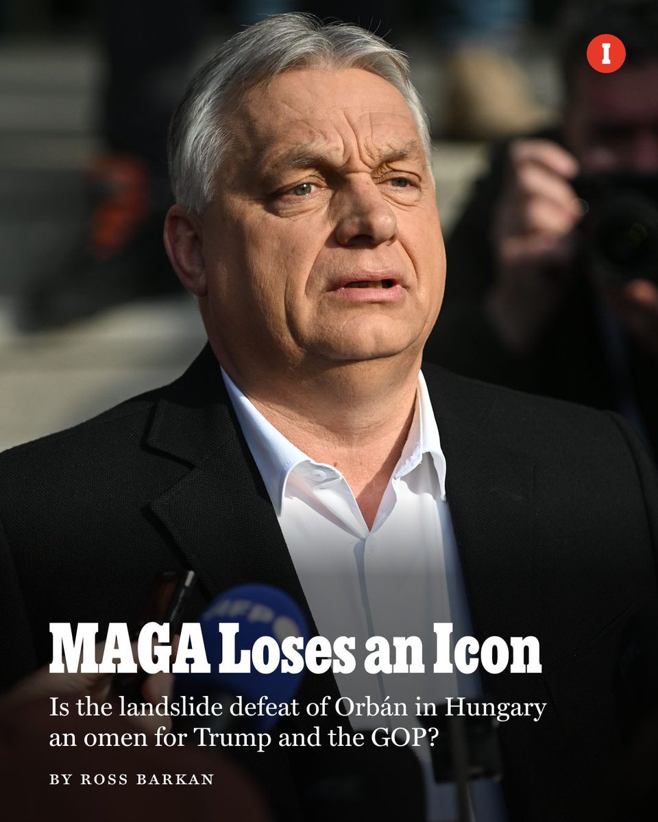 New York Magazine tweet media