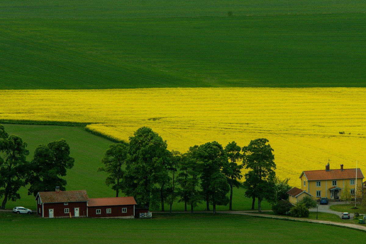Ramazan Erdrmir tweet media
