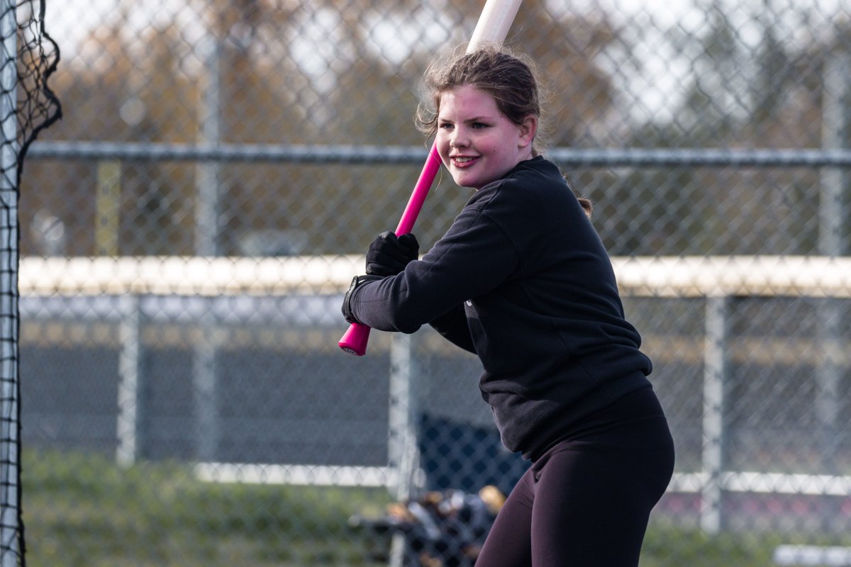 Viper Bats tweet media