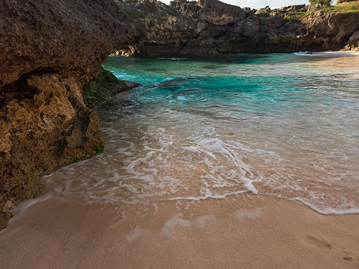 dylan liddle tweet media