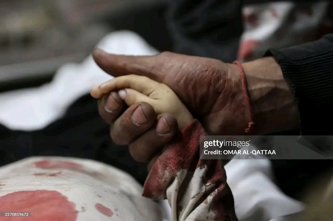 أخبار صفا Safa News tweet media