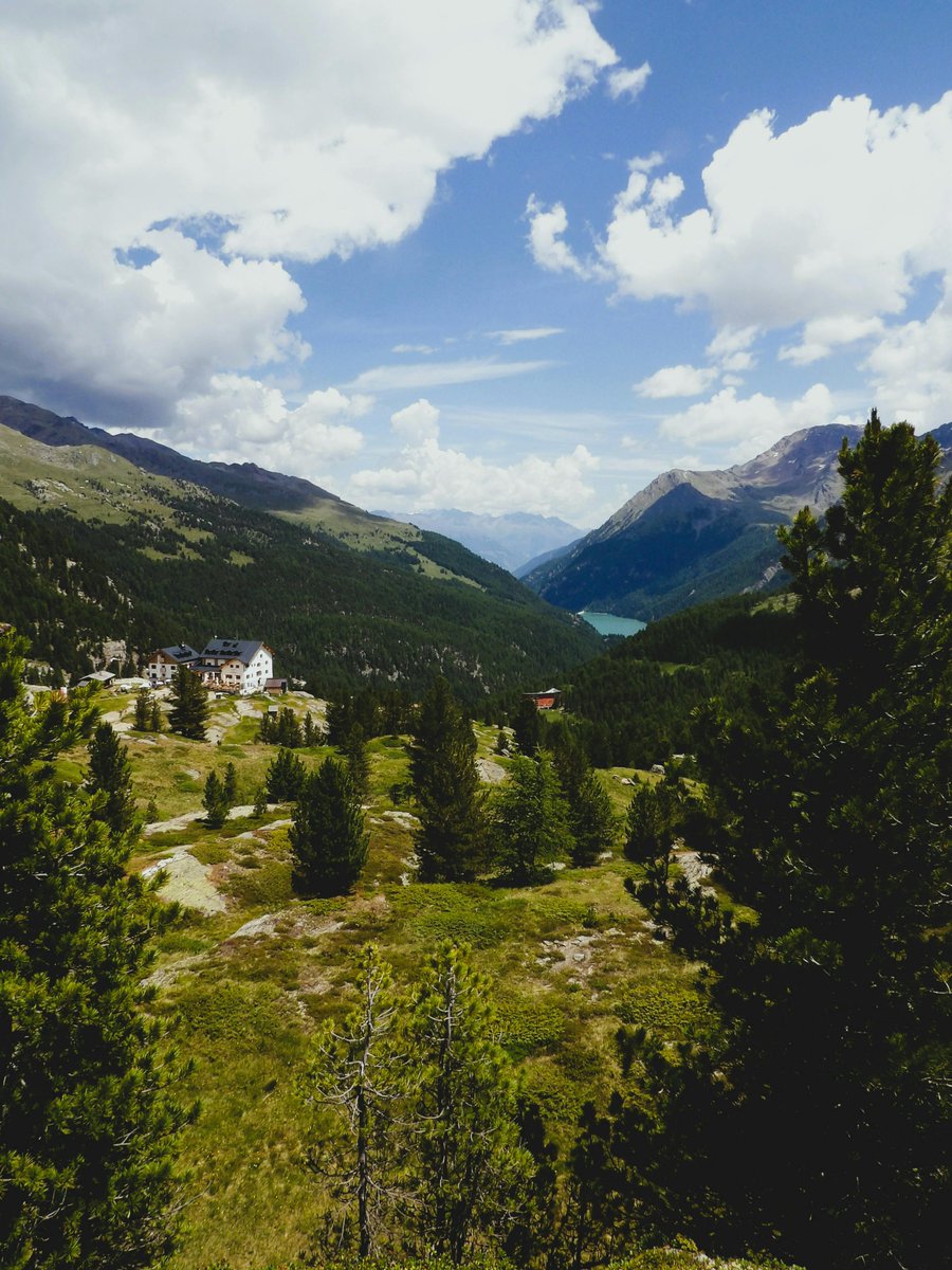 dylan liddle tweet media