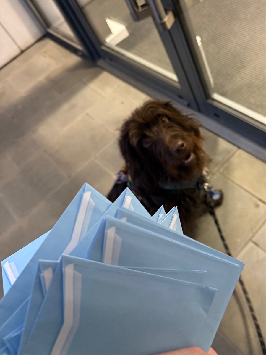 VMMChamberlain's tweet image. Franc helping me GOTV in #Borough tonight 🔶🐕‍🦺 #southwark