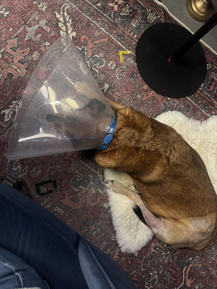 Brandi Kruse tweet media