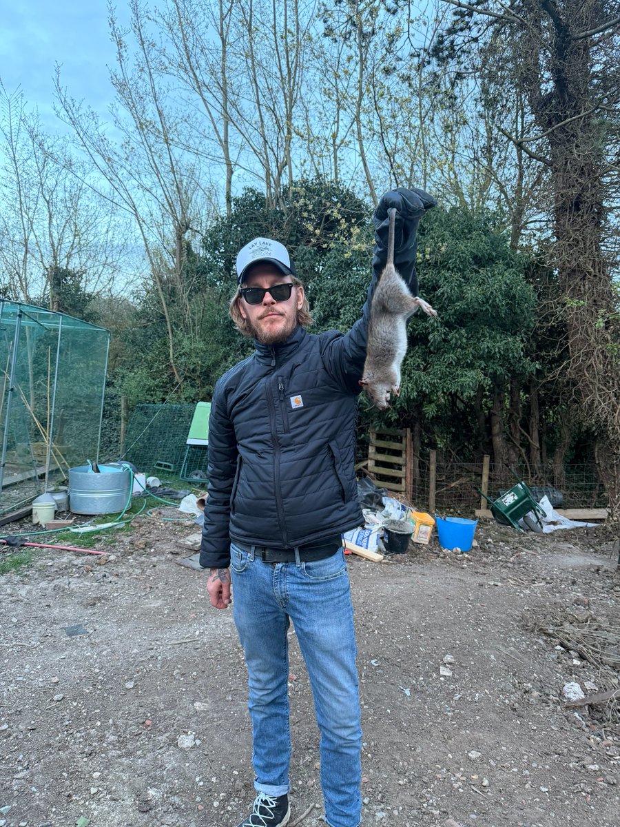 Laurence Fox tweet media