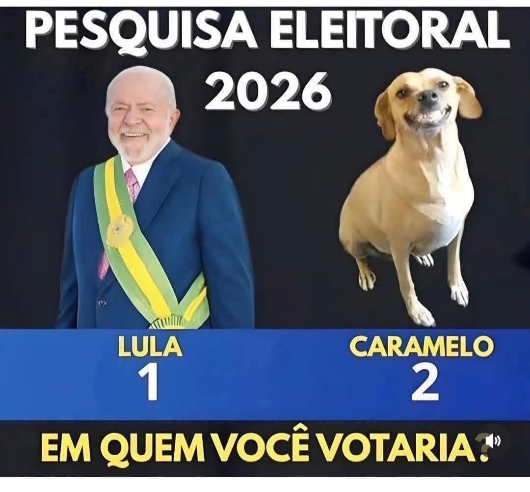 Valter Flauzino tweet media