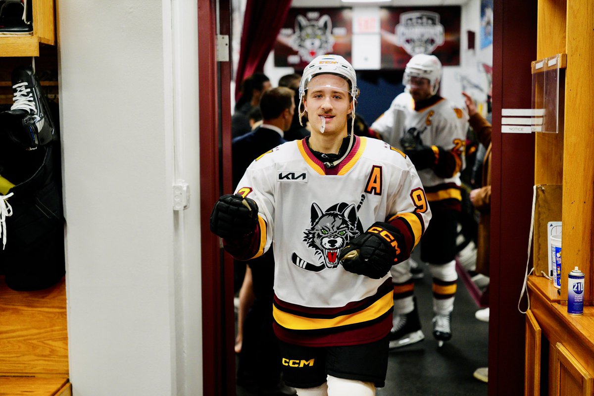 x- Chicago Wolves tweet media