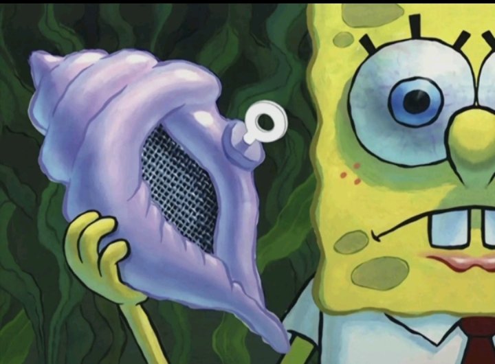 ricostilla_x tweet media