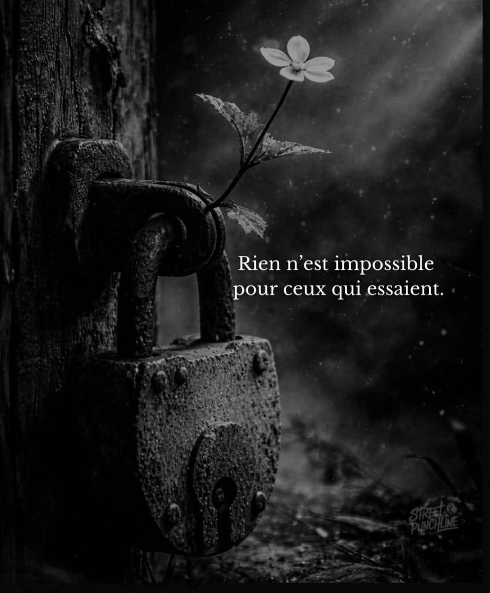 Sagesse Pure tweet media