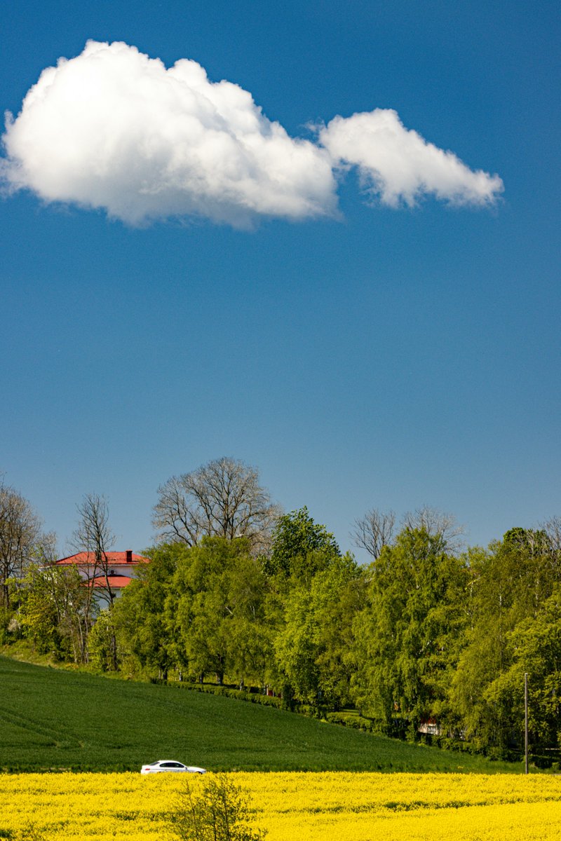 Fugz Token Official tweet media