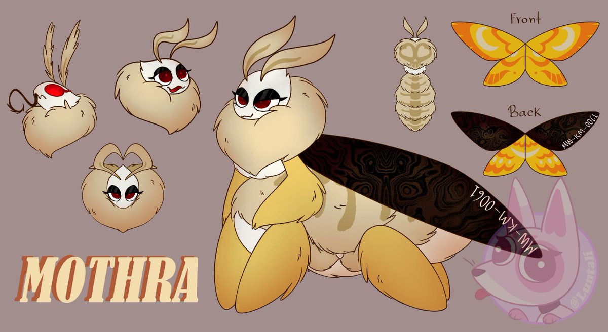 🦊Yari🐔 tweet media