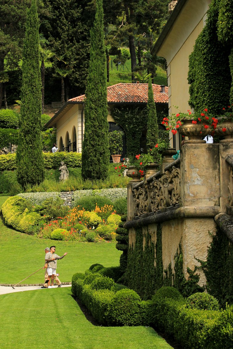 im back bitch tweet media