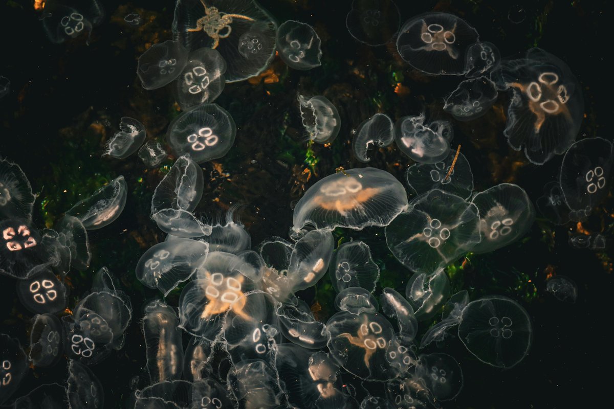 im back bitch tweet media