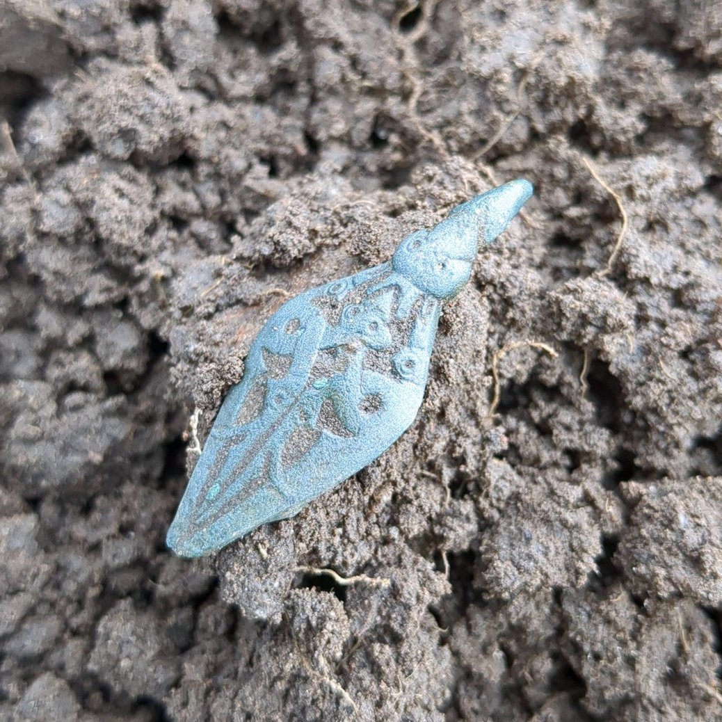 _Treasure_Kings's tweet image. After a long break Danish 🇩🇰 detectorist Mikal Rasmussen returns to the field and hits two great Viking #metaldetecting finds:

-- Viking casket mount (skrinbeslag)
-- Beautifully preserved bird fibula 🐦

#find #Viking