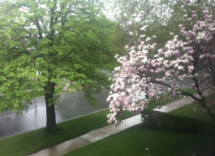 𖦹🍀୭˚ tweet media