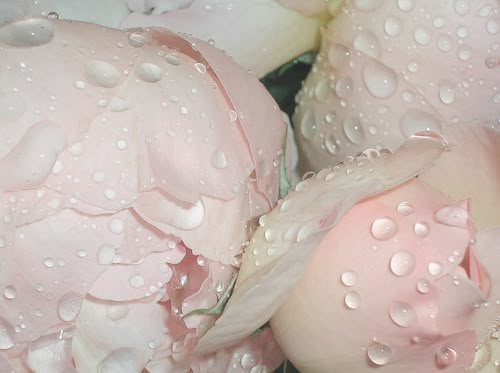 𖦹🍀୭˚ tweet media