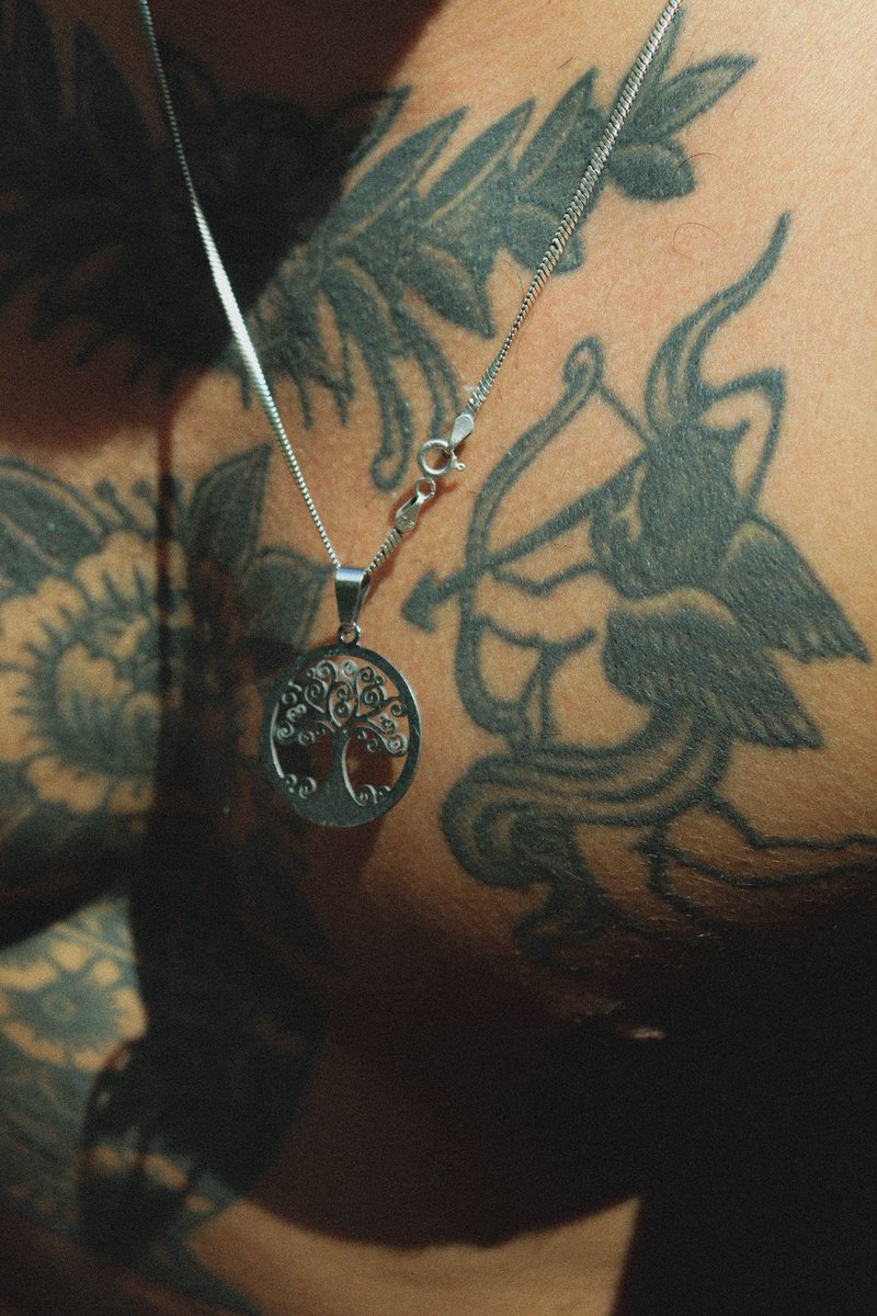 André Rocha tweet media