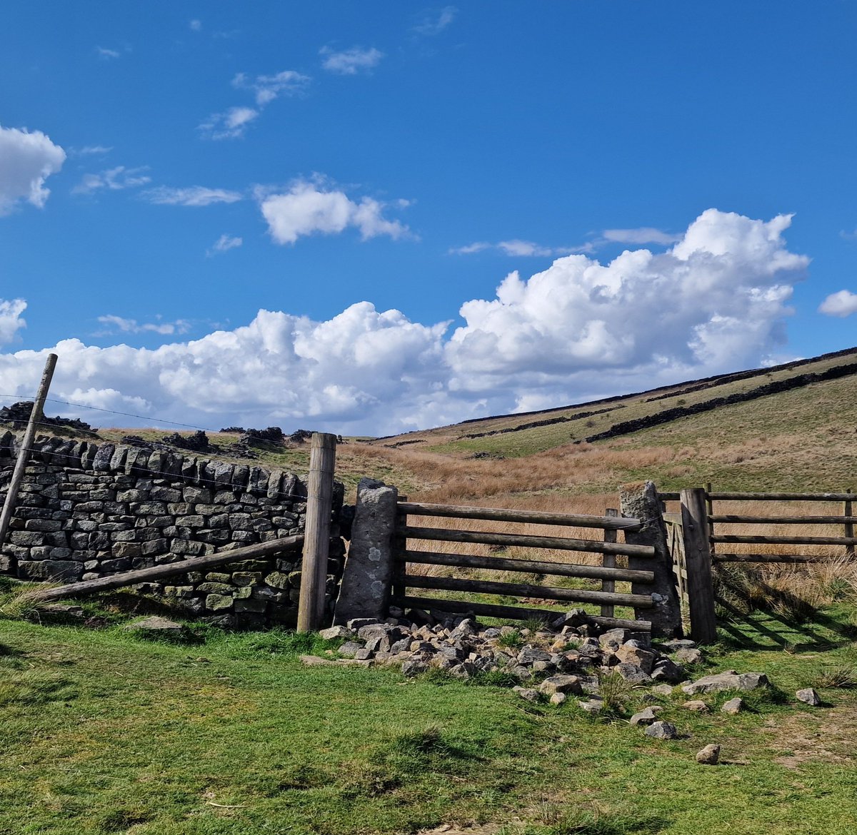 KerryBWriter's tweet image. What a lovely gate that was!!
#gate