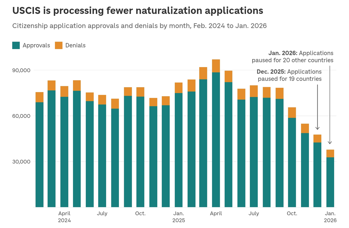 America First Insight tweet media