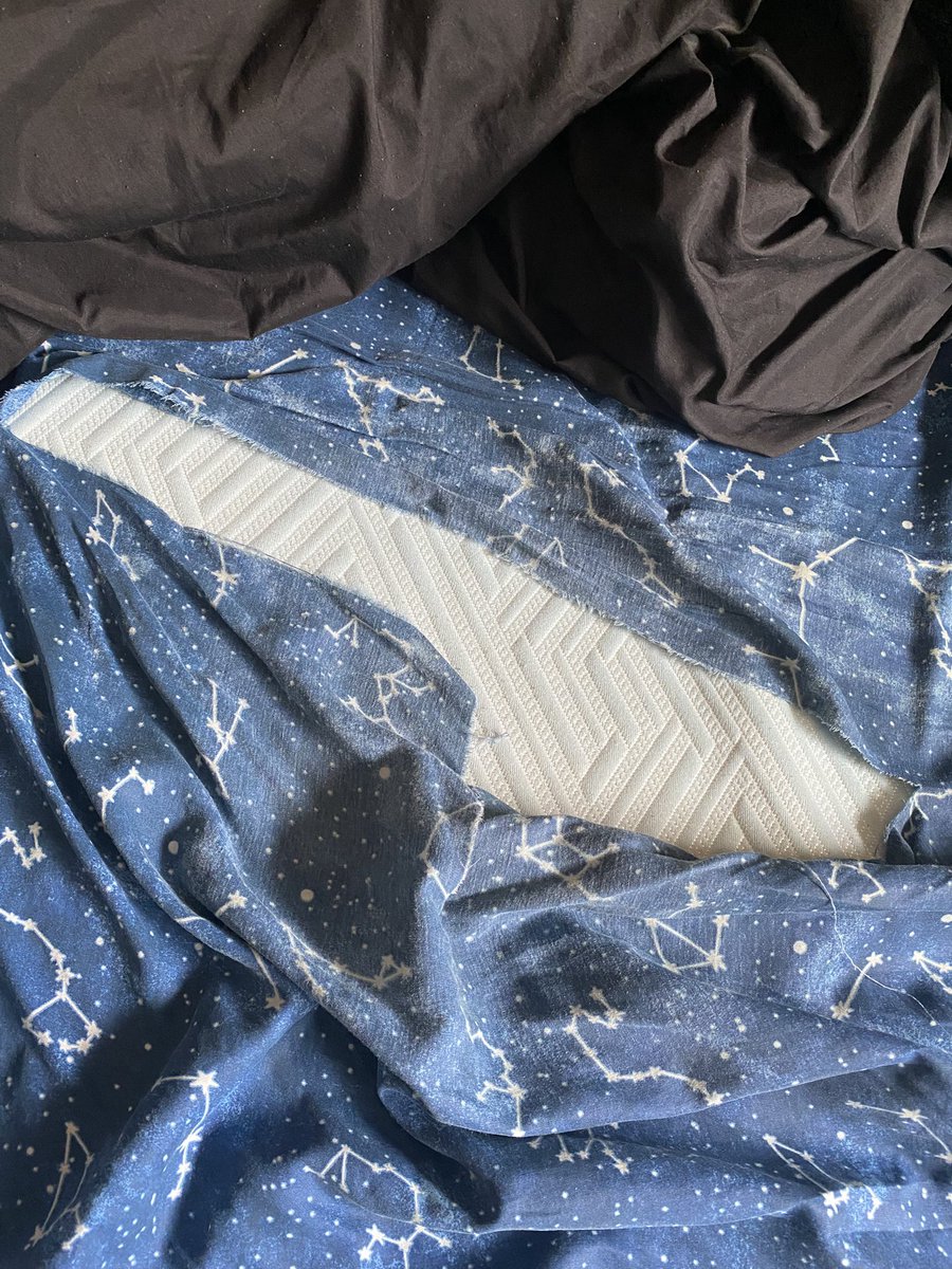 🐾SugrrNSpice🔥 tweet media