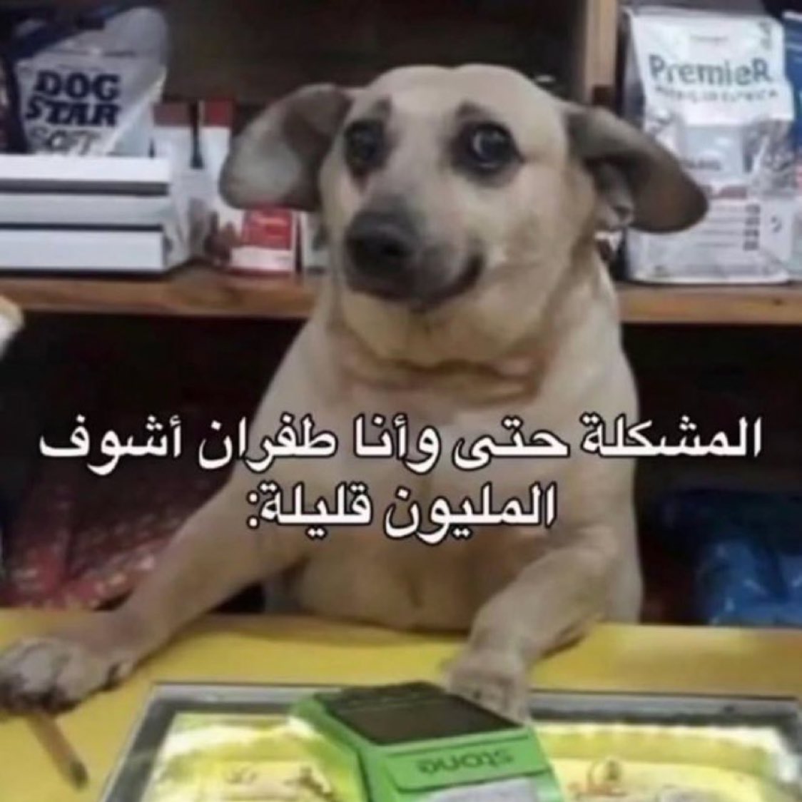 نجمة tweet media